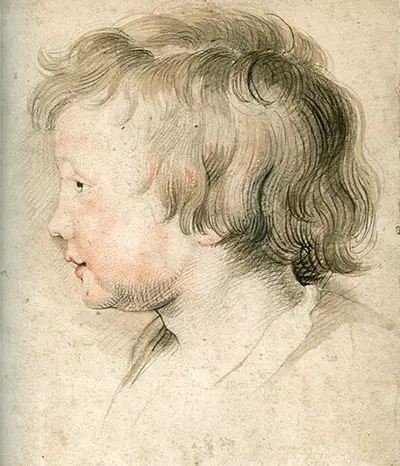 Albert Rubens Peter Paul Rubens